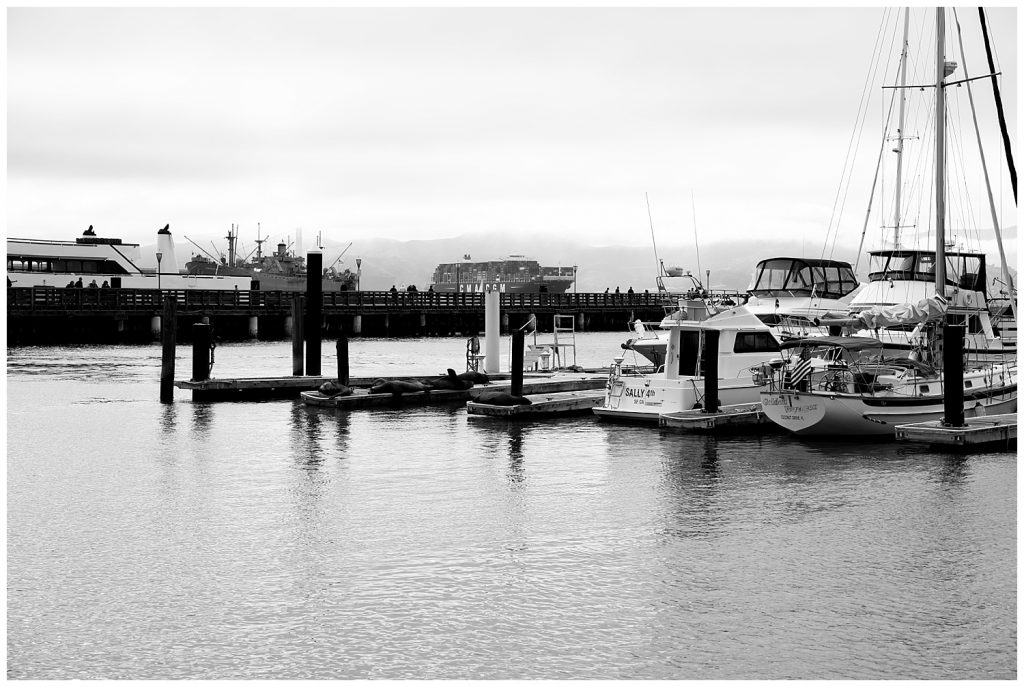 black and white of boats docked