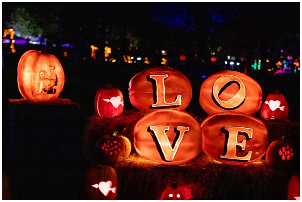 love carved pumpkins