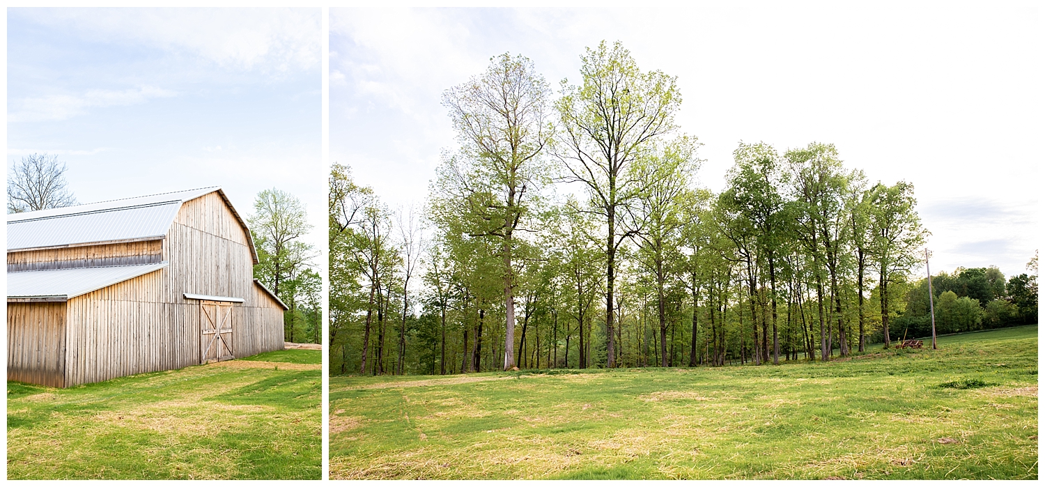 Wedding Venue TourRocking Horse Meadows Liz Courtney Photography